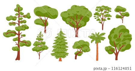 Cartoon trees. Different types of forest plants. Coniferous and deciduous. Summer pine. High oak. Low wood. Green crowns foliage. Landscape lush greenery. Botanical garish vector set 116124851