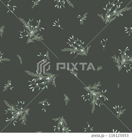 Seamless pattern with New Year's green plants and berry white mistletoe. Repeat pattern with coniferous forest branches of spruce or fir. Watercolor hand drawing illustration on isolated background. 116125053