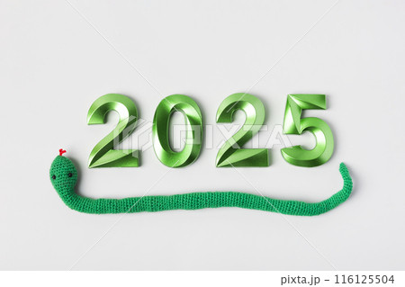 Knitted toy green snake and green numbers. The symbol of the year 2025 on a gray background. 116125504