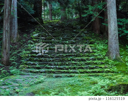 石畳の道　平泉寺　福井県勝山市 116125519