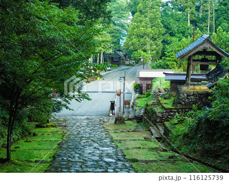 平泉寺　白山神社　福井県勝山市 116125739