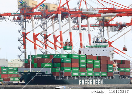 東京港のガントリークレーン　港湾作業　貨物船のコンテナの積み下ろし 116125857
