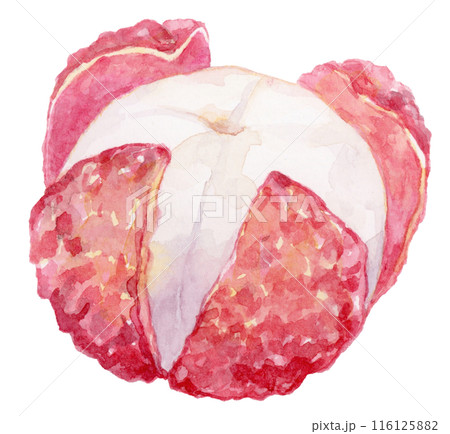 皮を剥いたライチの水彩イラスト 皮を剥いたライチの水彩イラスト 116125882