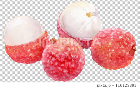 荔枝水彩插圖 4 種水果 116125893