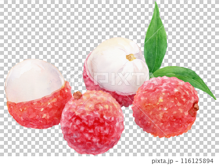 荔枝水彩插圖 4 種水果 116125894