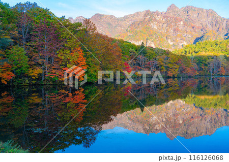 【秋素材】秋の戸隠高原鏡池【長野県】 116126068