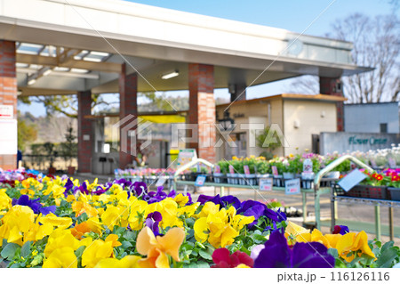 【兵庫県立フラワーセンター】 兵庫県加西市豊倉町飯森 116126116