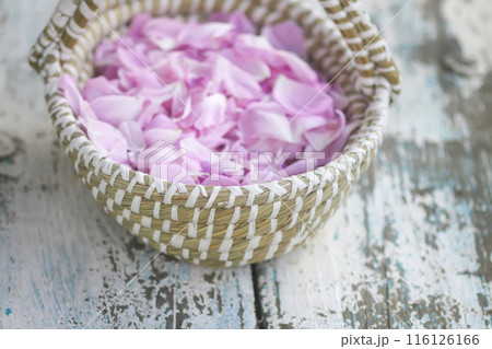 Pink rose flower petals for herbal tea or cosmetic products. 116126166
