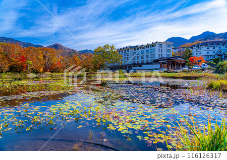 【紅葉素材】秋の志賀高原・蓮池の紅葉【長野県】 116126317