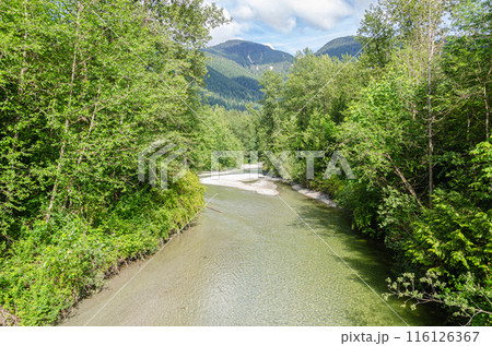 A rivulet with crystal clear water flowing down the mountains - tributary of Kettle River, BC, Canada 116126367
