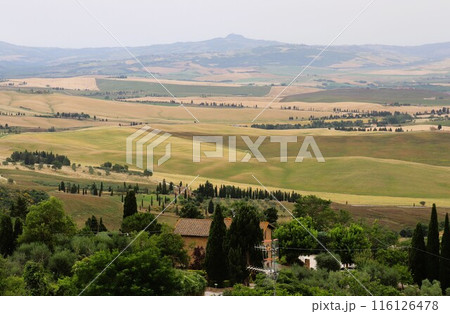 オルチャの谷　世界遺産　ピエンツァ　トスカーナ州　イタリア　ヨーロッパ 116126478