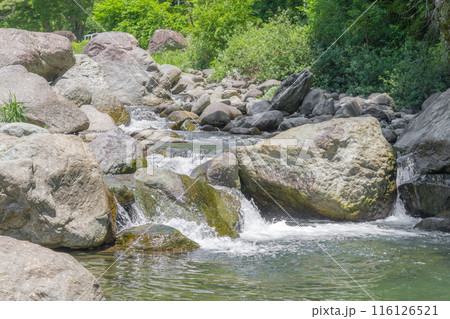 【初夏の道志川とゴリラ岩】 【初夏の道志川とゴリラ岩】 116126521