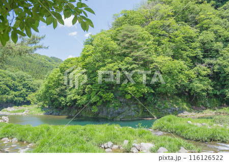 【初夏の道志川】 【初夏の道志川】 116126522