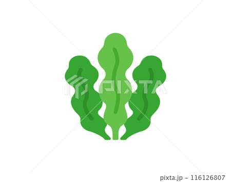 ワカメのアイコンのイラスト 116126807