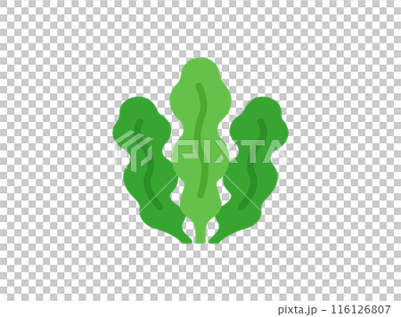 ワカメのアイコンのイラスト 116126807