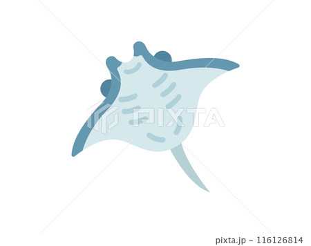 マンタのアイコンのイラスト 116126814