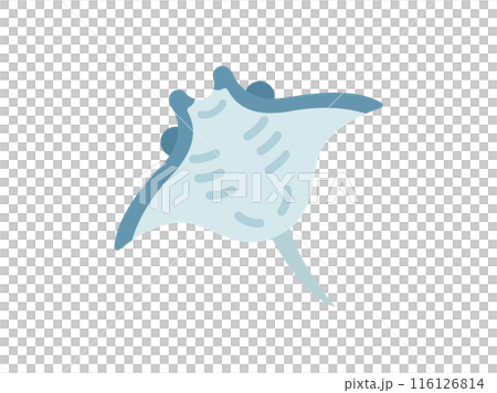 マンタのアイコンのイラスト 116126814