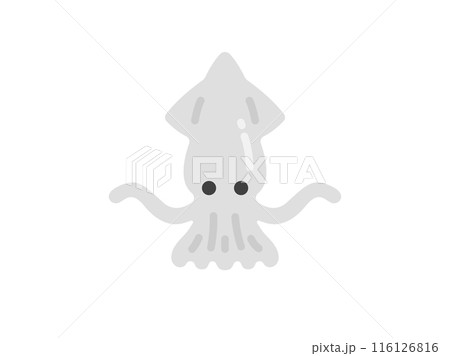 イカのアイコンのイラスト イカのアイコンのイラスト 116126816
