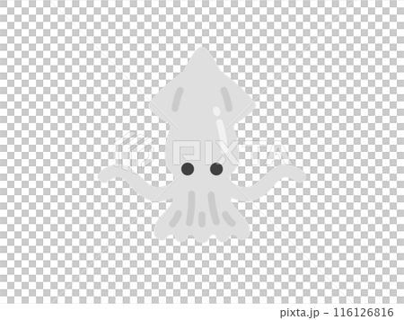 イカのアイコンのイラスト イカのアイコンのイラスト 116126816