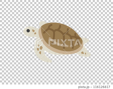 海龜圖標說明 116126817