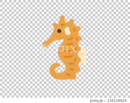 Illustration of a seahorse icon 116126824
