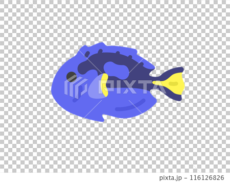 Illustration of a blue tang icon Illustration of a blue tang icon 116126826