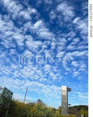 秋の空に白い雲 秋の空に白い雲 116127084