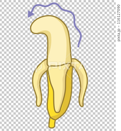 具有男性生殖器形象的香蕉,枯萎的香蕉 具有男性生殖器形象的香蕉,枯萎的香蕉 116127090