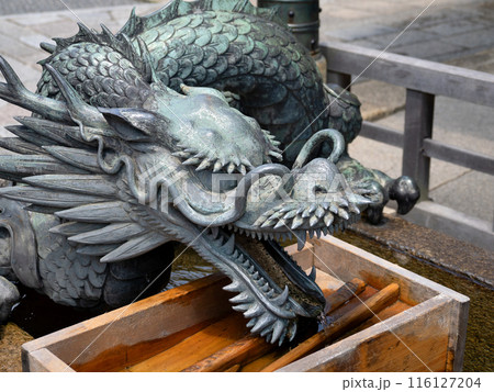清水寺　手水舎の龍　京都府 116127204