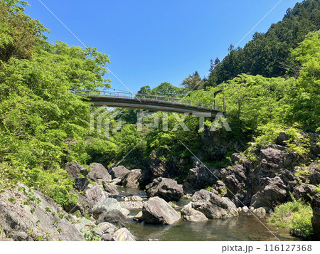 新緑の三波石峡　そうせき橋 116127368