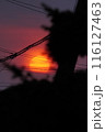 夕焼け 116127463