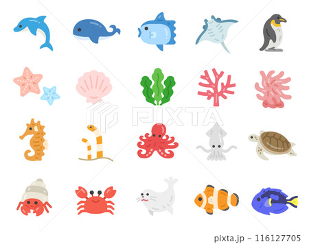 海の生物のアイコンのイラストセット 116127705