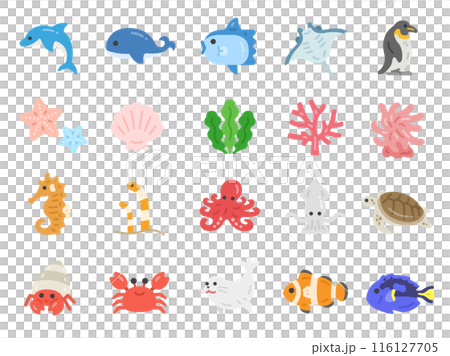 海の生物のアイコンのイラストセット 116127705