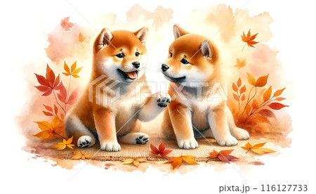 買い誠実 紅葉バックに柴犬のイラスト素材 [116127733] - PIXTA 絵画