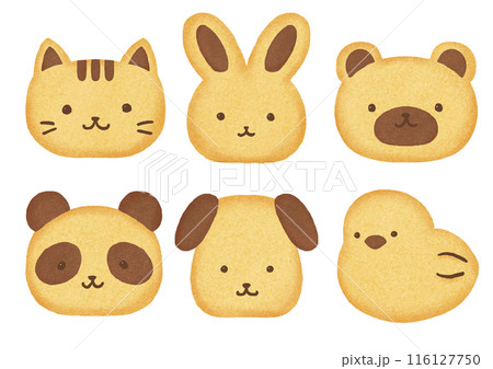 かわいい動物クッキーのイラスト かわいい動物クッキーのイラスト 116127750