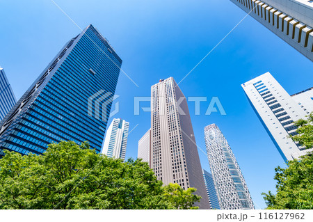 新宿副都心 緑茂る初夏の高層ビル街の風景 2024.06　a-1 116127962