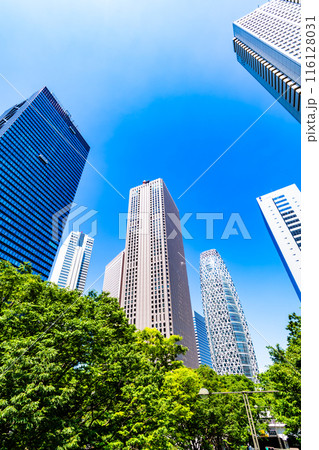 新宿副都心 緑茂る初夏の高層ビル街の風景 2024.06　c-2 高コントラスト 116128031