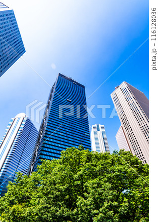 新宿副都心 緑茂る初夏の高層ビル街の風景 2024.06　d-2 高コントラスト 116128036