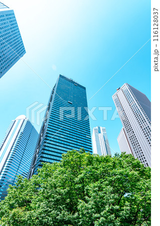 新宿副都心 緑茂る初夏の高層ビル街の風景 2024.06　d-3 ライトカラー 116128037