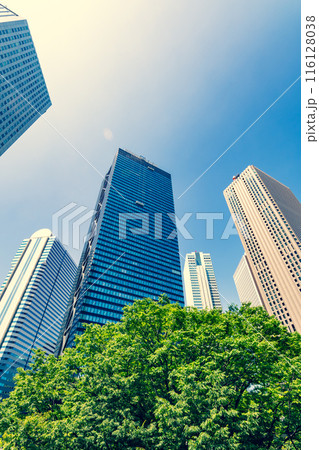 新宿副都心 緑茂る初夏の高層ビル街の風景 2024.06　d-4 暖色寒色強調 116128038