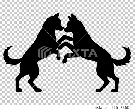 喧嘩する犬のシルエット 116128600