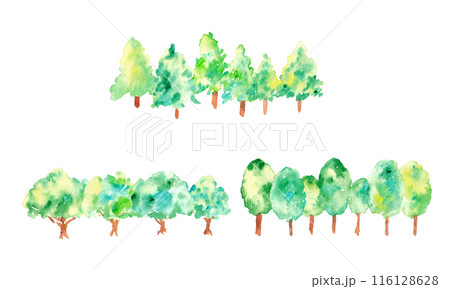 水彩画。水彩タッチのベクター森林素材。手描きの自然イラスト。緑の植物背景。森と木。 116128628