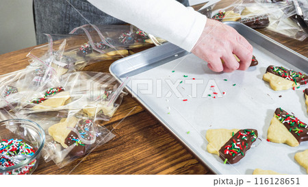Carefully packaging Christmas cutout cookies, half-dipped in chocolate and presented in clear cellophane wrapping, perfect for festive gifting. 116128651