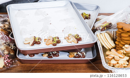 Carefully packaging Christmas cutout cookies, half-dipped in chocolate and presented in clear cellophane wrapping, perfect for festive gifting. 116128653