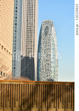 新宿中央公園 白糸の滝とビル街 新宿中央公園 白糸の滝とビル街 116128825