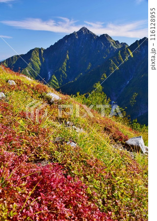 大日岳 紅葉トレッキング 大日岳 紅葉トレッキング 116128955