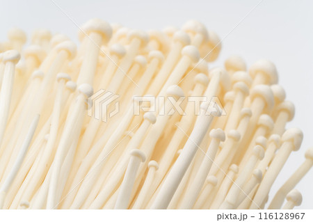 えのきのクローズアップ背景 116128967