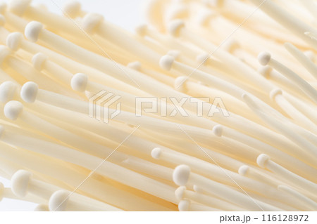 えのきのクローズアップ背景 えのきのクローズアップ背景 116128972