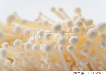 えのきのクローズアップ背景 116128973