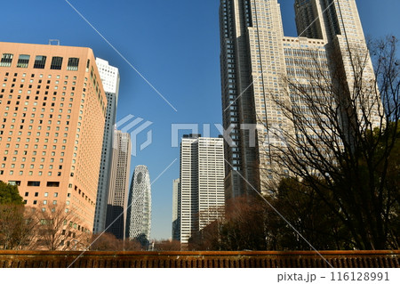 新宿中央公園　白糸の滝とビル街 116128991